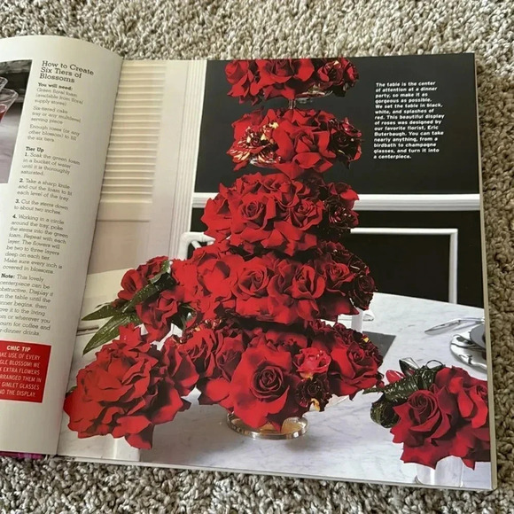 *Final Price* Party Confidential Event Book - cool ideas - Hardcover GUC - Picture 3 of 5